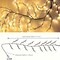 8-Branch Flexible Rattan Wall Light - 96 LED USB-Powered Ambiance 2 PCK